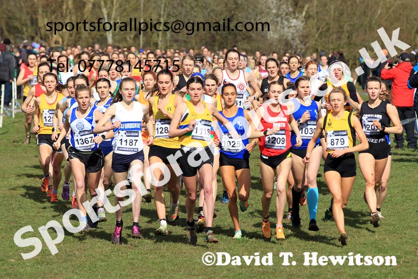 Senior Womens 2022 CAU Inter Counties Cross Country, Prestwold Hall, Loughborough.  Photo: David T. Hewitson/Sports for All Pics
